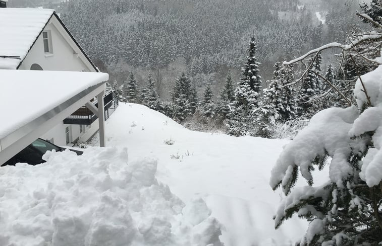 Natuurhuisje in Willingen