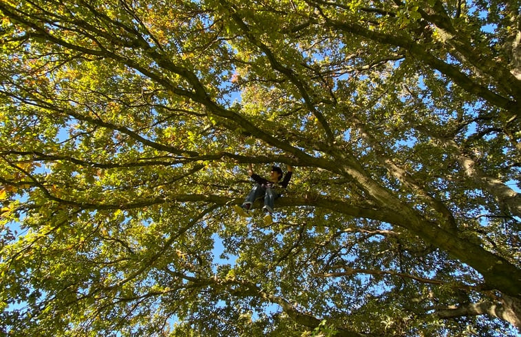 Natuurhuisje in Koningsbosch