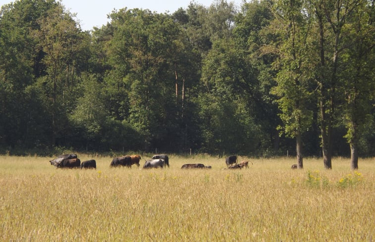 Natuurhuisje in Stramproy