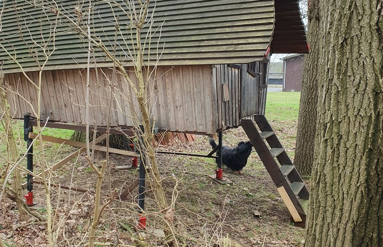 Natuurhuisje in Warmsen