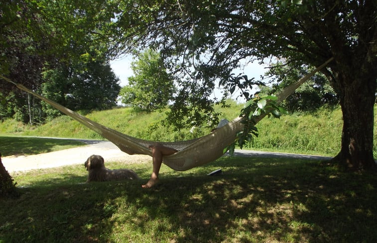 Natuurhuisje in Sauveterre La Lemance