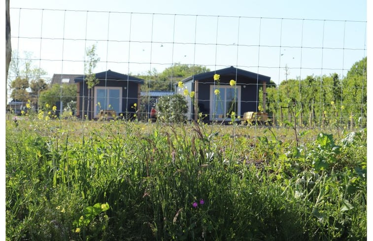 Natuurhuisje in Weesp