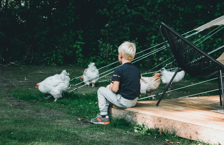 Natuurhuisje in Rutten