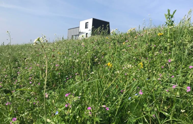 Natuurhuisje in Kraggenburg