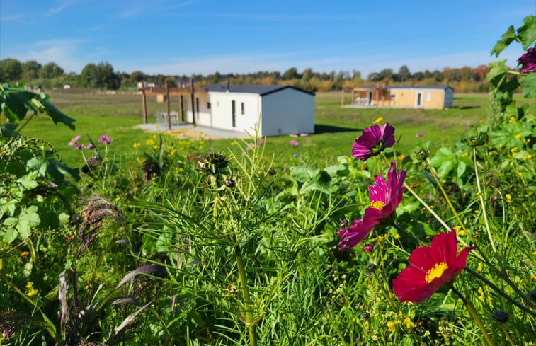 Natuurhuisje in Heythuysen