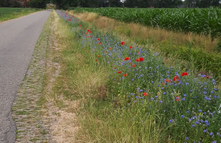 Natuurhuisje in Weerselo