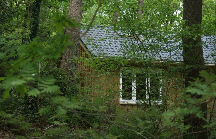 Natuurhuisje in Norg