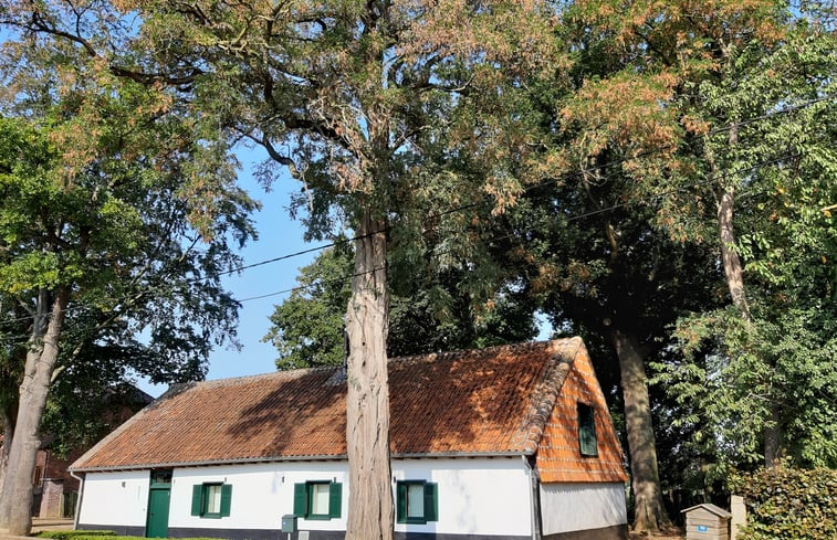 Natuurhuisje in Tielt-Winge