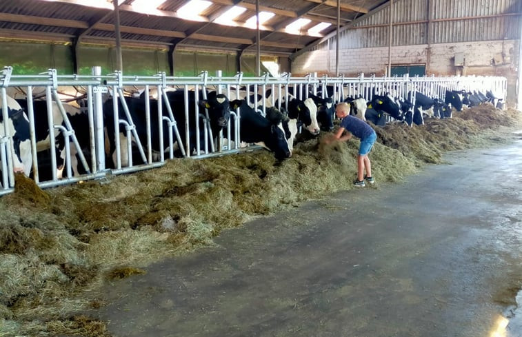 Natuurhuisje in Genderen