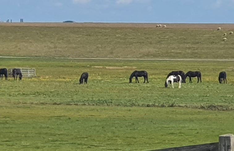 Natuurhuisje in Holwerd