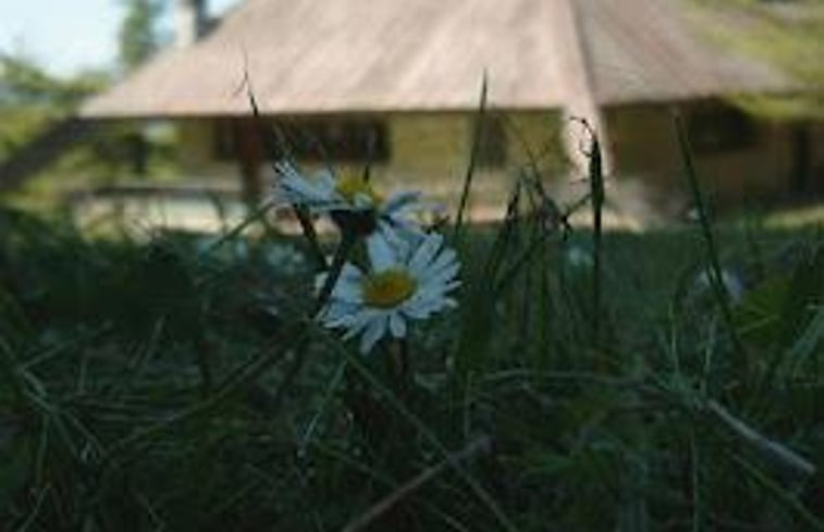 Natuurhuisje in Dignano - Serravalle del Chienti