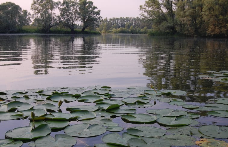 Natuurhuisje in Dreumel