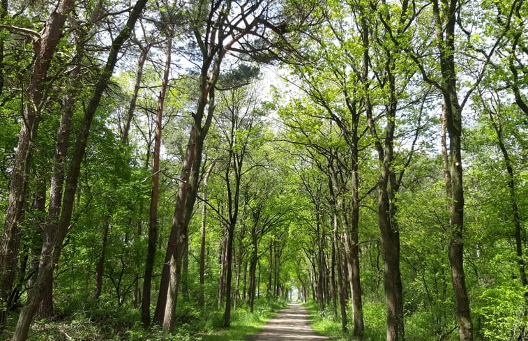 Natuurhuisje in IJhorst