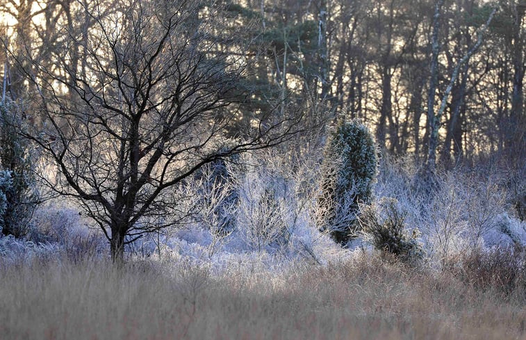 Natuurhuisje in Enschede