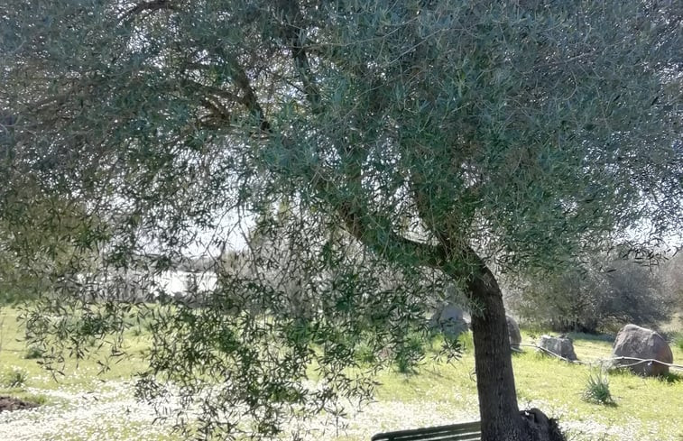 Natuurhuisje in Dorgali