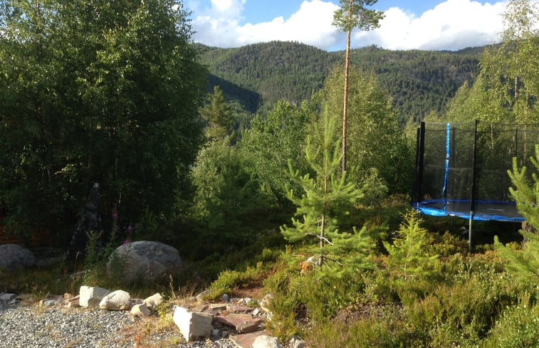 Natuurhuisje in Vråliosen - Vrådal