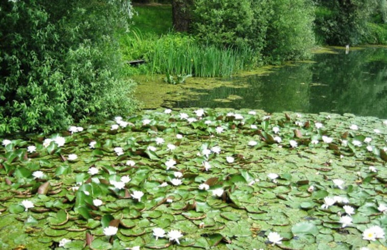 Natuurhuisje in Susteren