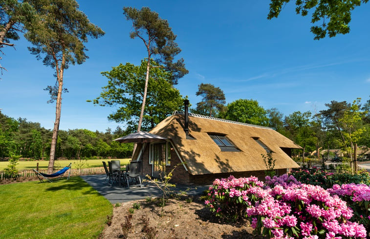 Natuurhuisje in Putten