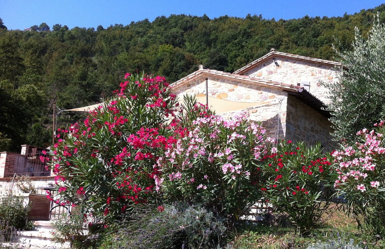 Natuurhuisje in Monte Castello di Vibio. borgo san giovanni