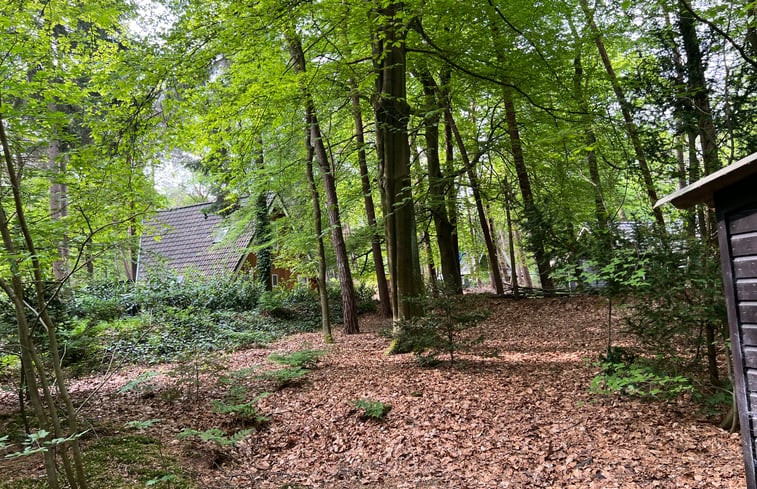 Natuurhuisje in Norg