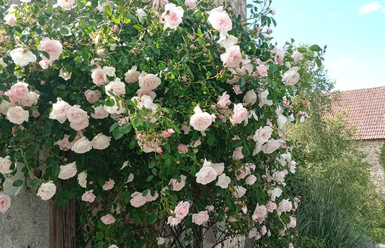 Natuurhuisje in Parsac-Rimondeix