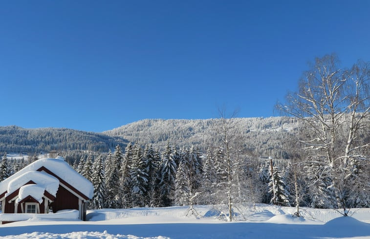 Natuurhuisje in Faberg - Lillehammer