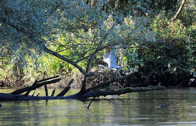 Natuurhuisje in Drimmelen