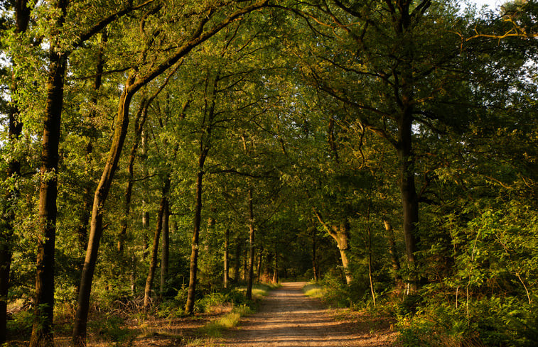 Natuurhuisje in Lierop