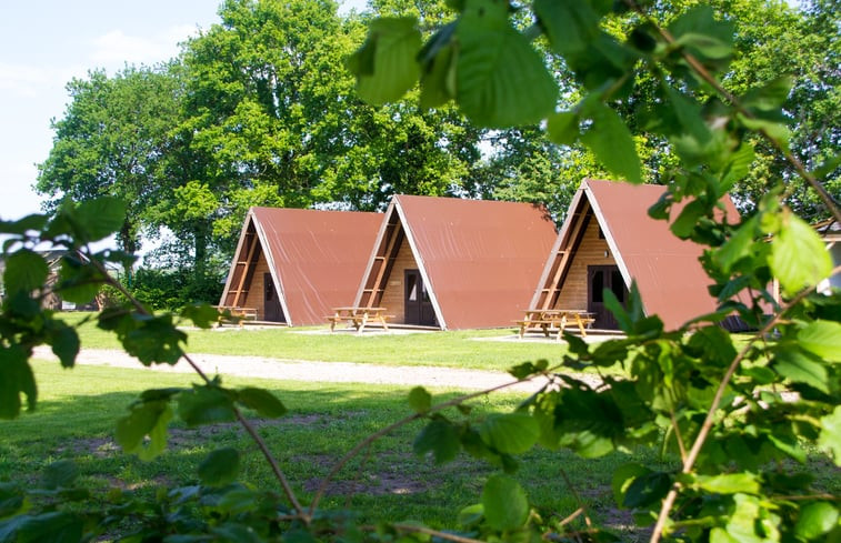 Natuurhuisje in Grolloo