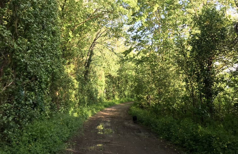 Natuurhuisje in Mérigny