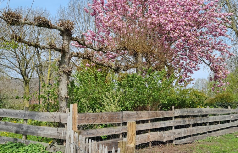 Natuurhuisje in Erp