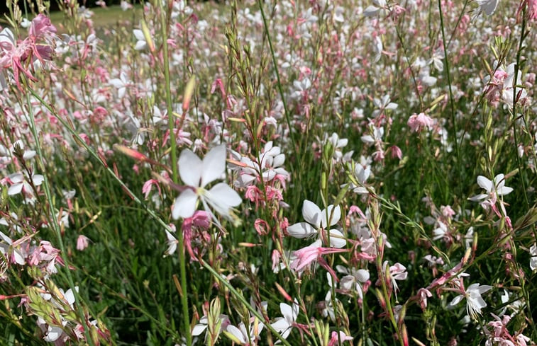 Natuurhuisje in Aardenburg