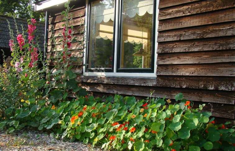 Natuurhuisje in Boschoord