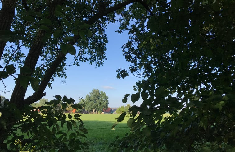 Natuurhuisje in de Lutte