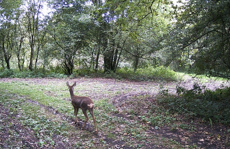 Natuurhuisje in Varik