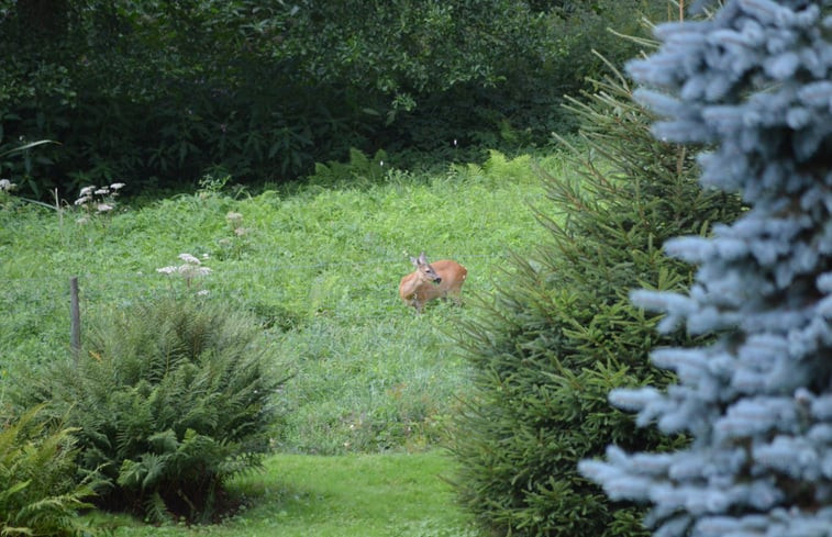 Natuurhuisje in KRUTH