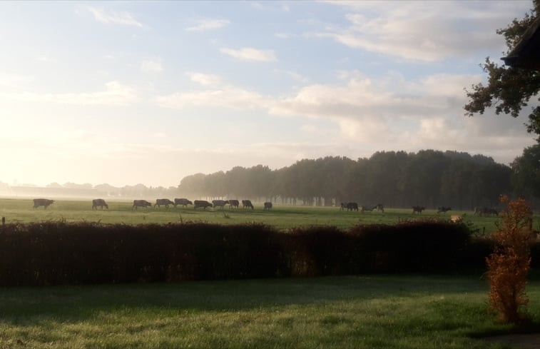 Natuurhuisje in Leende