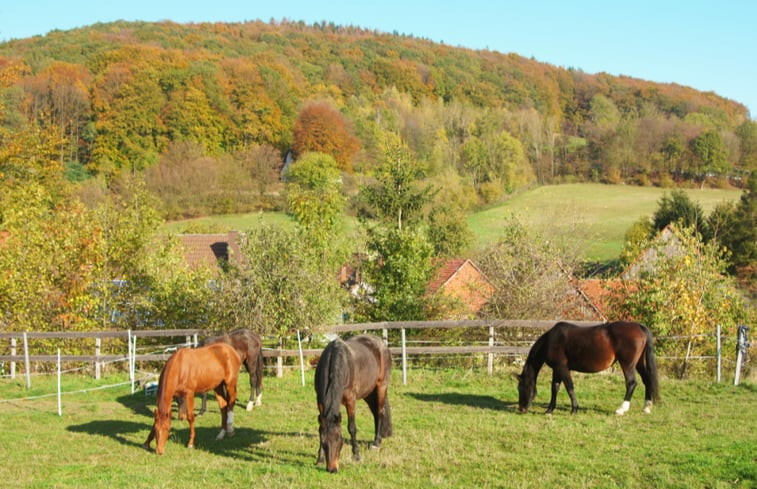 Natuurhuisje in Kalletal-Heidelbeck