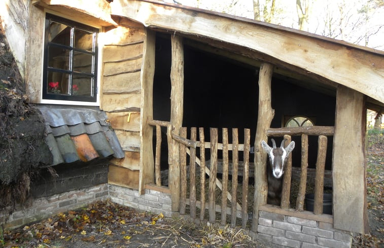 Natuurhuisje in Ansen