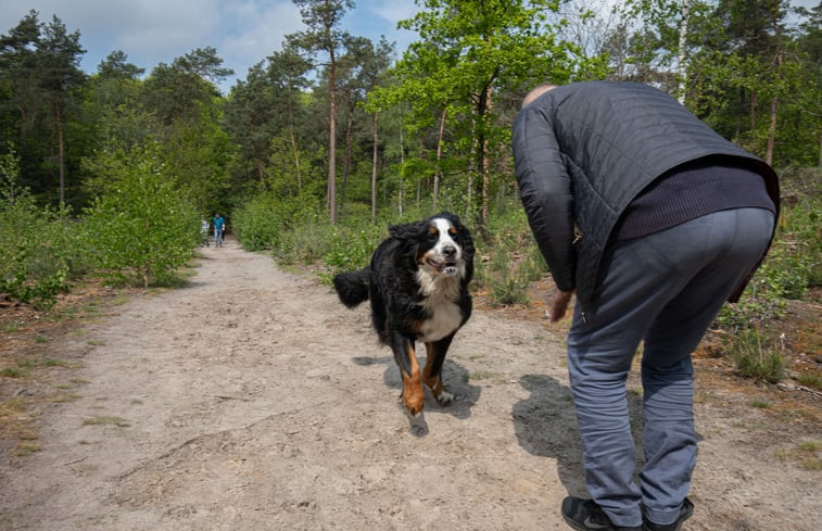 Natuurhuisje in Voorthuizen