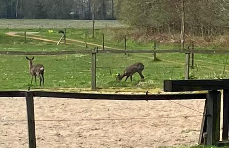 Natuurhuisje in Zuidlaarderveen