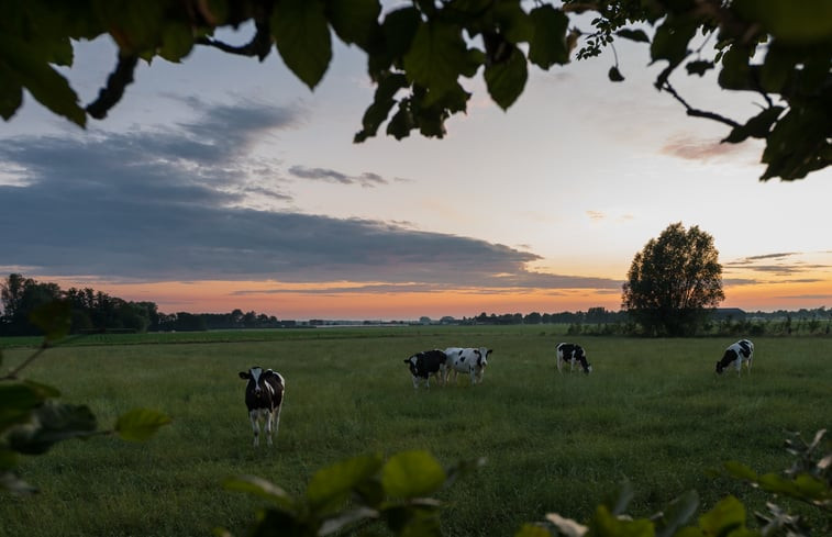 Natuurhuisje in Wingene