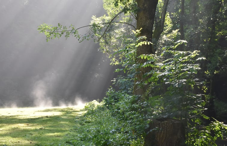 Natuurhuisje in Kollig