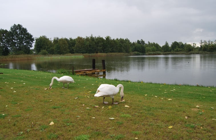 Natuurhuisje in Zonhoven