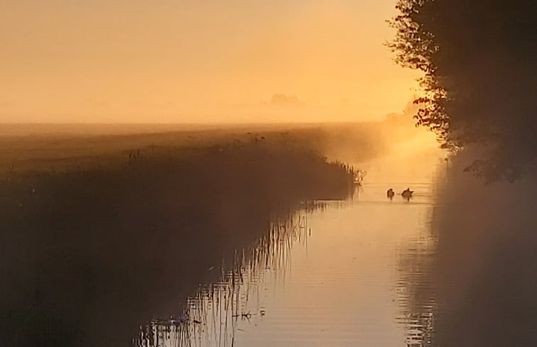 Natuurhuisje in Winsum