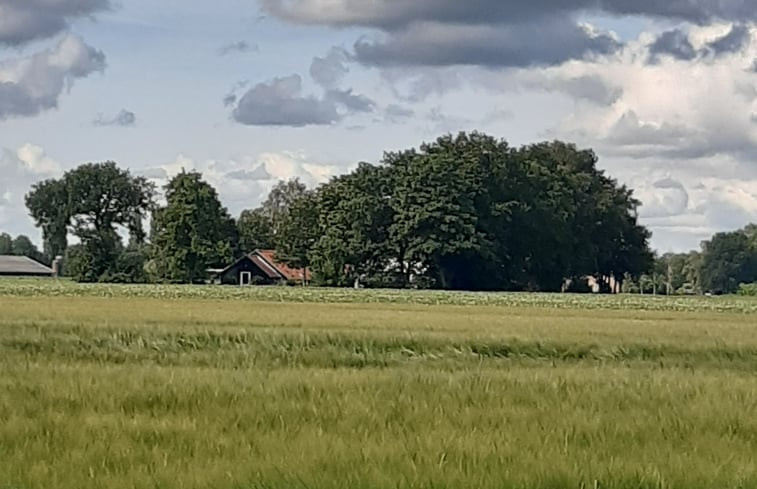 Natuurhuisje in Fochteloo