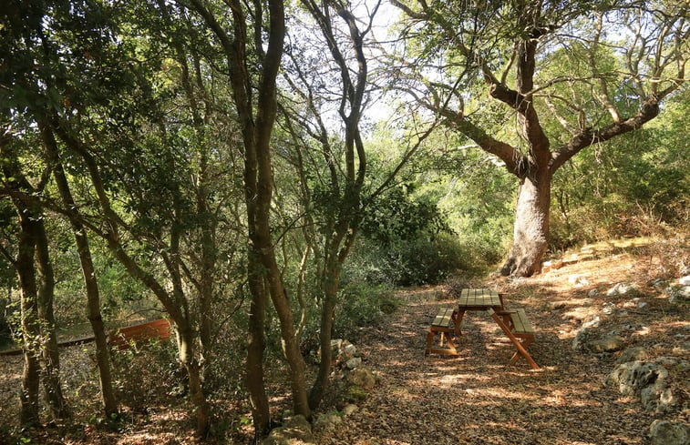 Natuurhuisje in Presicce