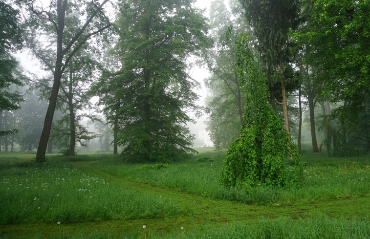 Natuurhuisje in Piotrowice Nyskie