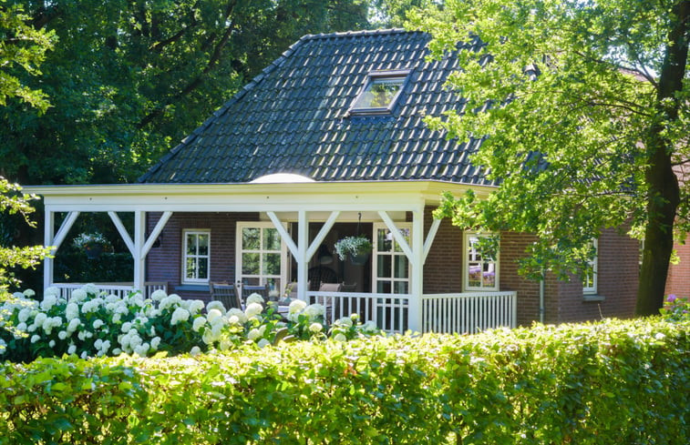 Natuurhuisje in Reutum