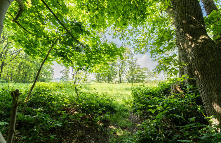 Natuurhuisje in Beesel